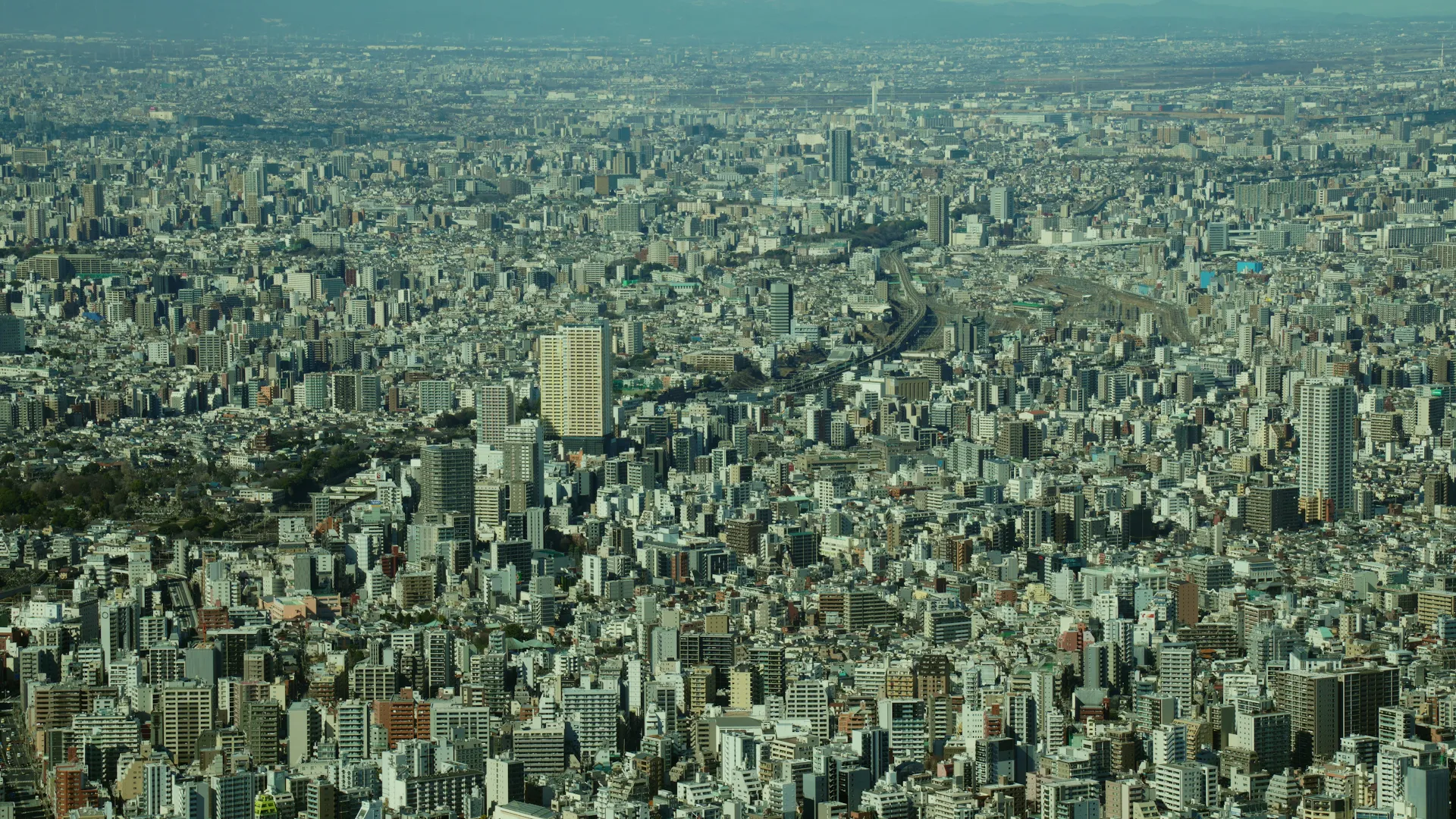 常盤のルック参考画像1